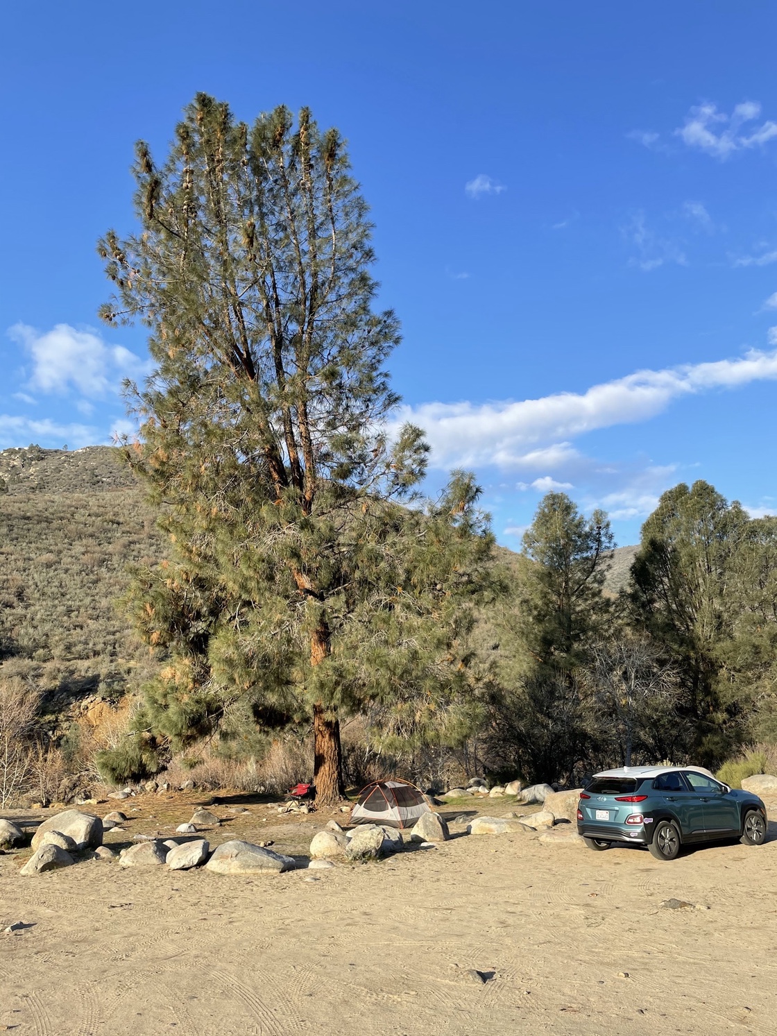 Campsite at Calkins Flat beneath an old pine